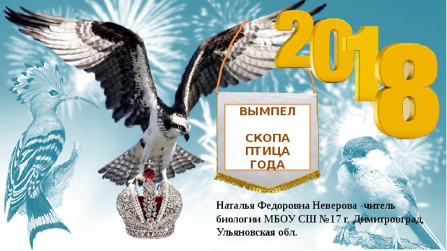 ВЫМПЕЛ  СКОПА ПТИЦА ГОДА Наталья Федоровна Неверова -читель биологии МБОУ СШ №17 г. Димитровград, Ульяновская обл. 