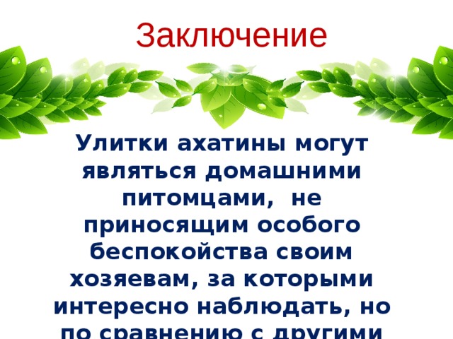 Заключение Улитки ахатины могут являться домашними питомцами, не приносящим особого беспокойства своим хозяевам, за которыми интересно наблюдать, но по сравнению с другими домашними животными они молчаливы.
