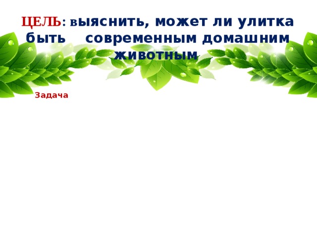 ЦЕЛЬ : в ыяснить, может ли улитка быть современным домашним животным Задача Задача Задача
