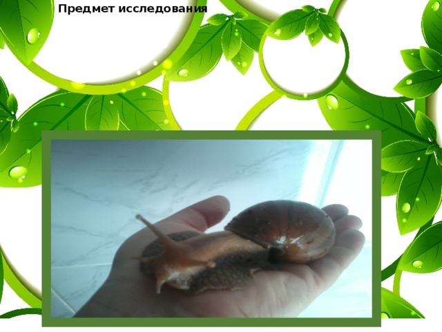 Предмет исследования Объект исследования