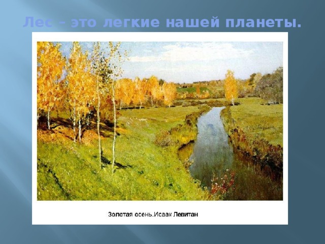 Лес – это легкие нашей планеты.   