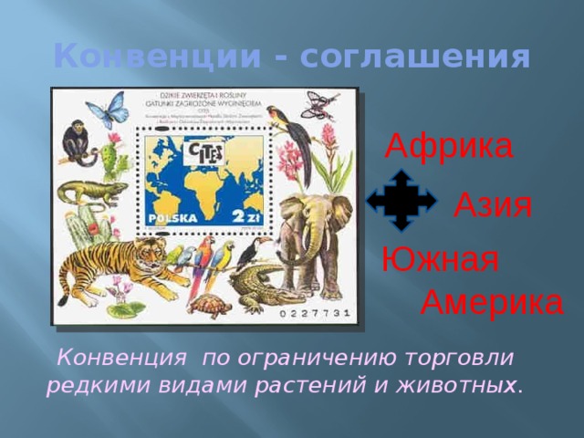 Конвенции - соглашения Африка Азия Южная  Америка Конвенция по ограничению торговли редкими видами растений и животных. 