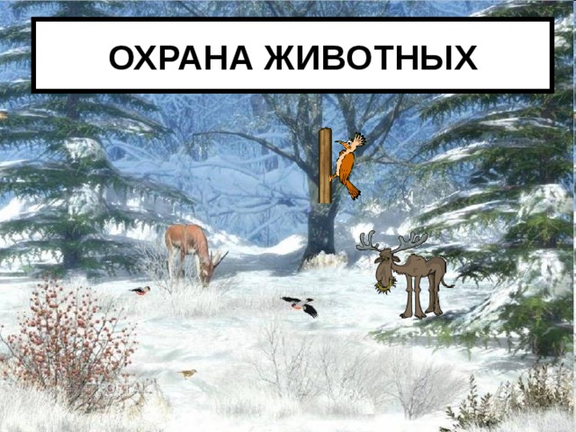 ОХРАНА ЖИВОТНЫХ 