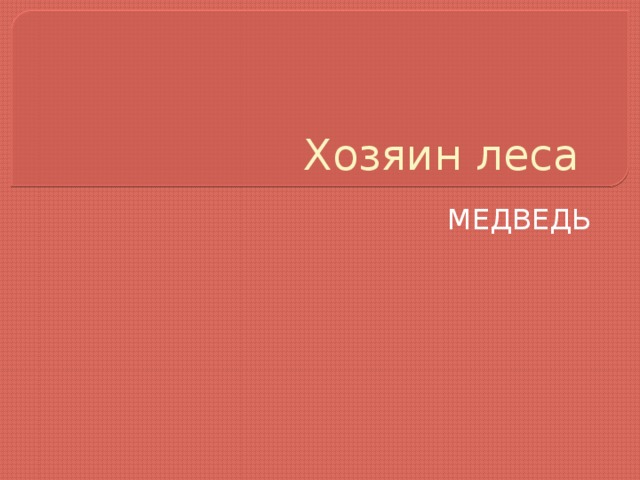 Хозяин леса МЕДВЕДЬ 