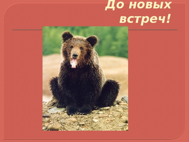  До новых встреч! 