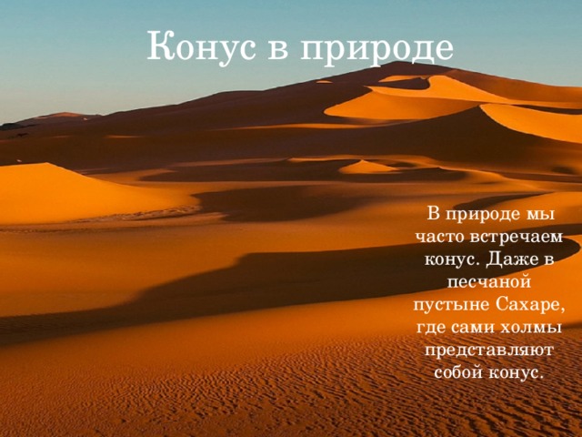 Конус в природе  В природе мы часто встречаем конус. Даже в песчаной пустыне Сахаре, где сами холмы представляют собой конус. 