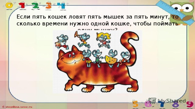 Если пять кошек ловят пять мышек за пять минут, то сколько времени нужно одной кошке, чтобы поймать одну мышку? 
