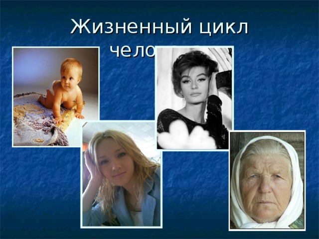 Жизненный цикл человека. 