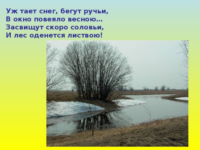 Уж тает снег, бегут ручьи, В окно повеяло весною… Засвищут скоро соловьи, И лес оденется листвою!  