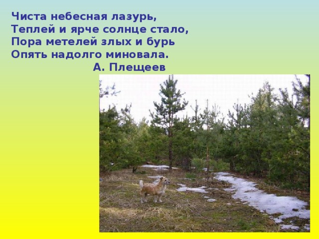 Чиста небесная лазурь, Теплей и ярче солнце стало, Пора метелей злых и бурь Опять надолго миновала.  А. Плещеев 