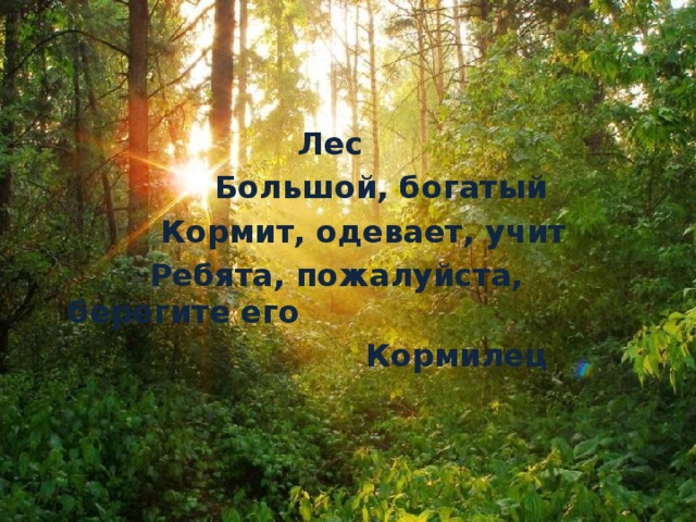  Лес  Большой, богатый  Кормит, одевает, учит  Ребята, пожалуйста, берегите его  Кормилец 