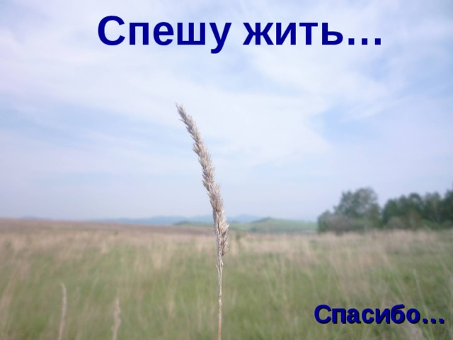 Спешу жить… Спасибо… 