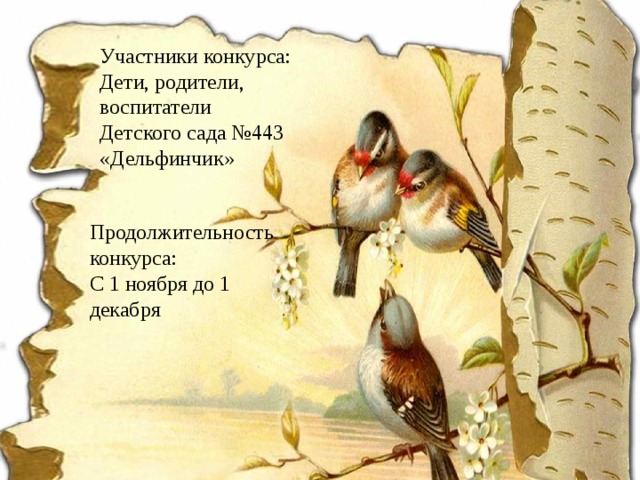 Участники конкурса: Дети, родители, воспитатели Детского сада №443 «Дельфинчик» Продолжительность конкурса: С 1 ноября до 1 декабря 