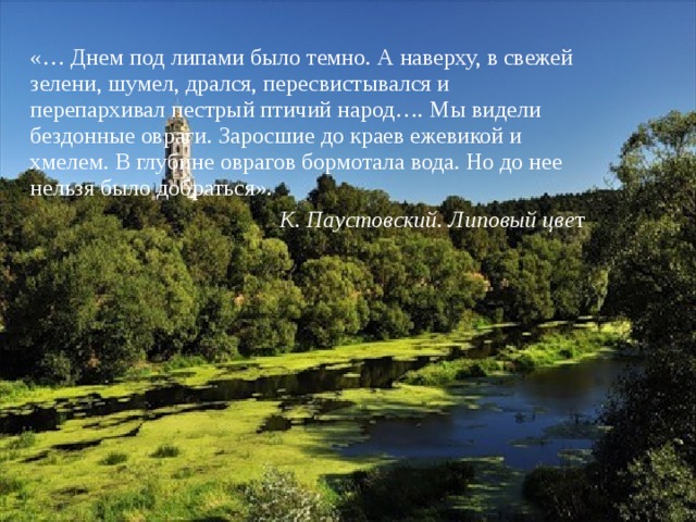 «… Днем под липами было темно. А наверху, в свежей зелени, шумел, дрался, пересвистывался и перепархивал пестрый птичий народ…. Мы видели бездонные овраги. Заросшие до краев ежевикой и хмелем. В глубине оврагов бормотала вода. Но до нее нельзя было добраться». К. Паустовский. Липовый цве т 