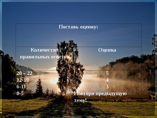 Поставь оценку: Количество правильных ответов Оценка 20 – 22 12-19 6-11 0-5 5 4 3 Повтори предыдущую тему! 