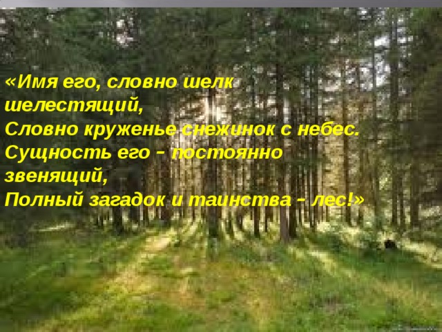 « Имя его, словно шелк шелестящий, Словно круженье снежинок с небес. Сущность его – постоянно звенящий, Полный загадок и таинства – лес! » 