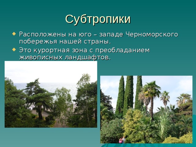 Субтропики Расположены на юго – западе Черноморского побережья нашей страны. Это курортная зона с преобладанием живописных ландшафтов. 