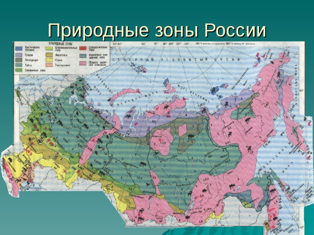 Природные зоны России 
