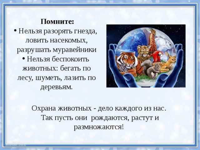  Помните: Нельзя разорять гнезда, ловить насекомых, разрушать муравейники Нельзя беспокоить животных: бегать по лесу, шуметь, лазить по деревьям. Охрана животных - дело каждого из нас. Так пусть они рождаются, растут и размножаются! 
