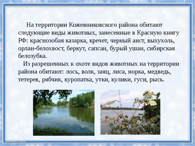  На территории Кожевниковского района обитают следующие виды животных, занесенные в Красную книгу РФ: краснозобая казарка, кречет, черный аист, выхухоль, орлан-белохвост, беркут, сапсан, бурый ушан, сибирская белозубка.  Из разрешенных к охоте видов животных на территории района обитают: лось, волк, заяц, лиса, норка, медведь, тетерев, рябчик, куропатка, утки, кулики, гуси, рысь. 