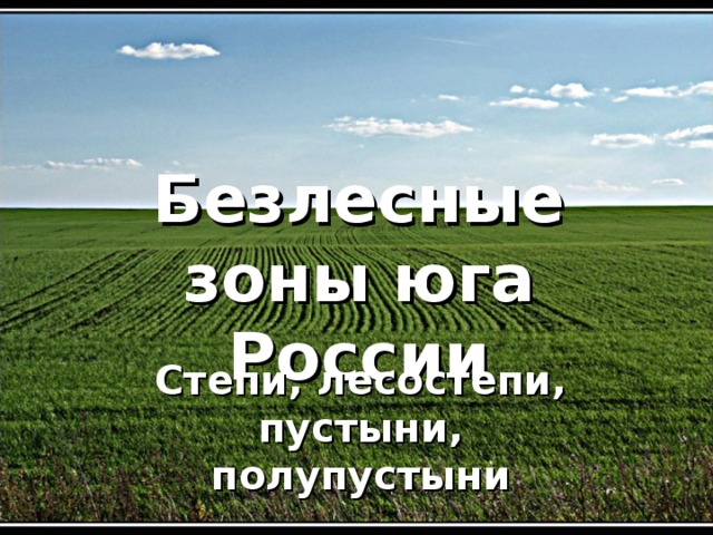 Безлесные зоны юга России Степи, лесостепи, пустыни, полупустыни 