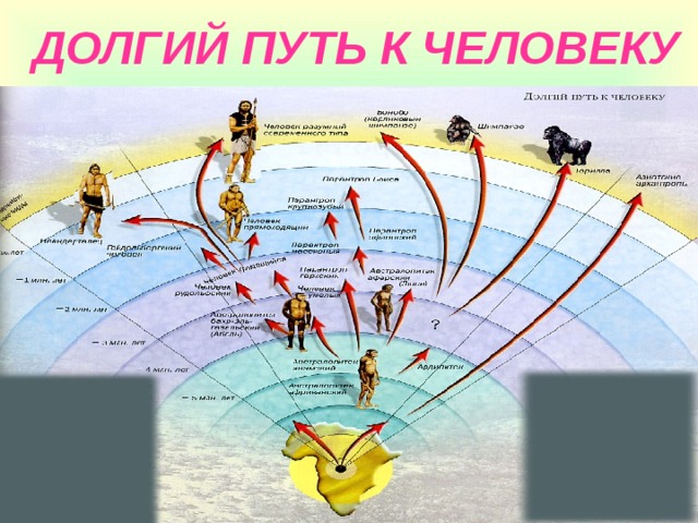 ДОЛГИЙ ПУТЬ К ЧЕЛОВЕКУ 