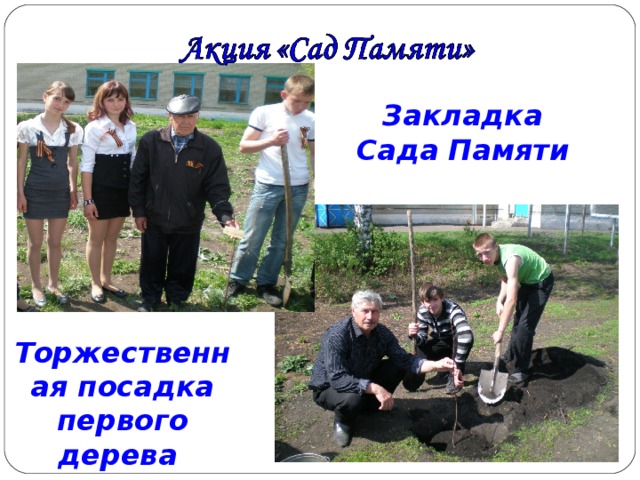 Закладка Сада Памяти Торжественная посадка первого дерева 