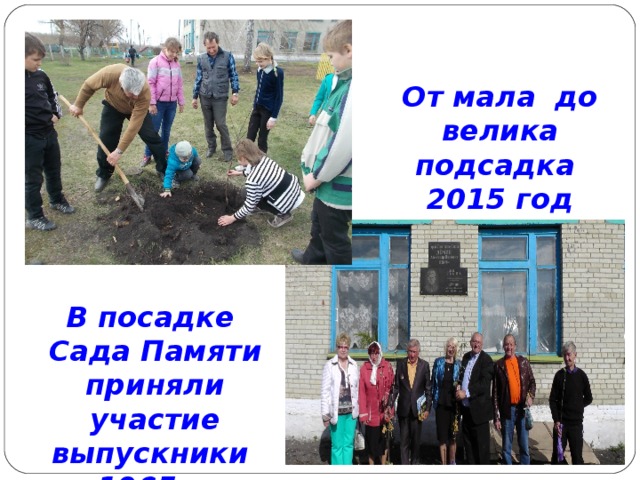 От мала до велика подсадка 2015 год В посадке Сада Памяти приняли участие выпускники 1965 г. 