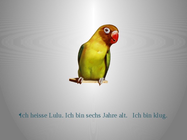 Ich heisse Lulu. Ich bin sechs Jahre alt. Ich bin klug. 