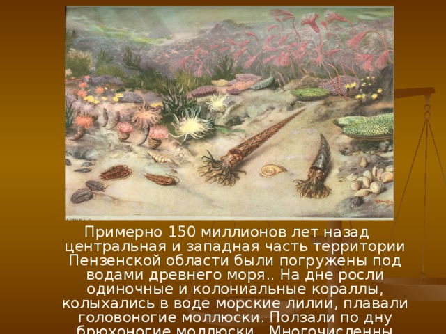 Примерно 150 миллионов лет назад центральная и западная часть территории Пензенской области были погружены под водами древнего моря.. На дне росли одиночные и колониальные кораллы, колыхались в воде морские лилии, плавали головоногие моллюски. Ползали по дну брюхоногие моллюски. Многочисленны брахиоподы и редки уже трилобиты… 