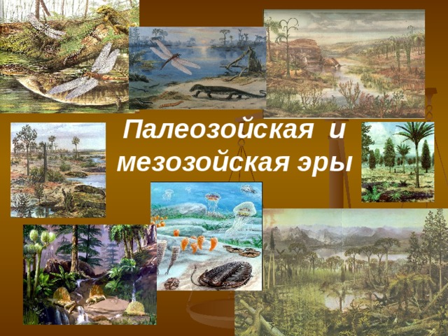 Палеозойская и мезозойская эры 