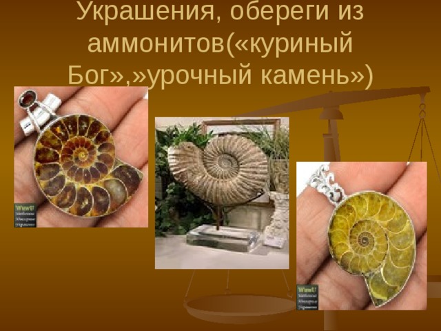 Украшения, обереги из аммонитов(«куриный Бог»,»урочный камень») 