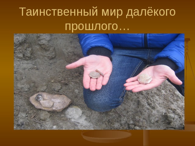 Таинственный мир далёкого прошлого… 