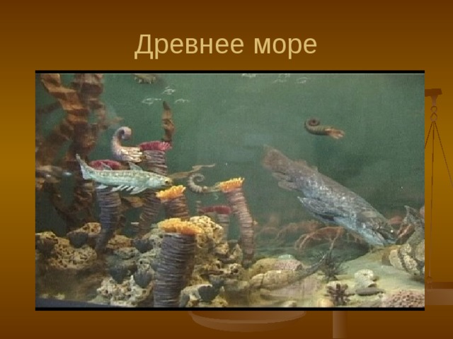 Древнее море 
