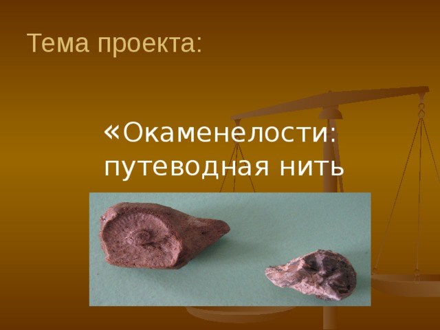 Тема проекта: « Окаменелости:  путеводная нить природы.» 