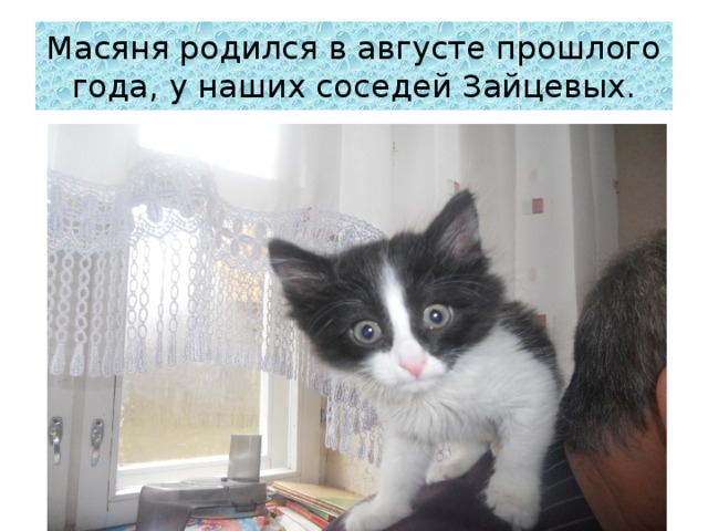 Масяня родился в августе прошлого года, у наших соседей Зайцевых. 