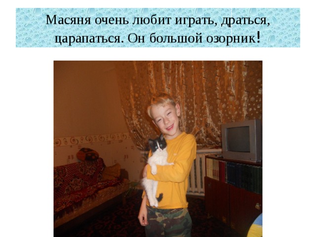 Масяня очень любит играть, драться, царапаться. Он большой озорник ! 