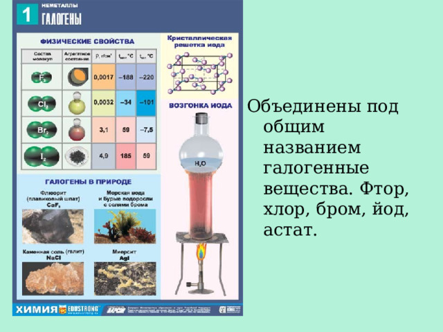 Объединены под общим названием галогенные вещества. Фтор, хлор, бром, йод, астат. 