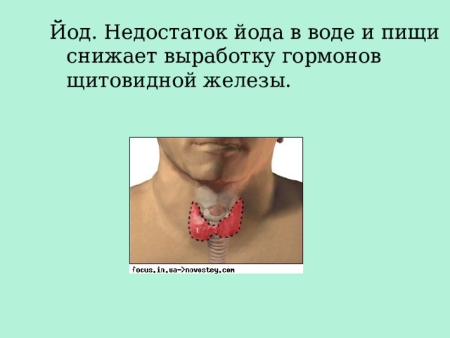 Йод. Недостаток йода в воде и пищи снижает выработку гормонов щитовидной железы. 
