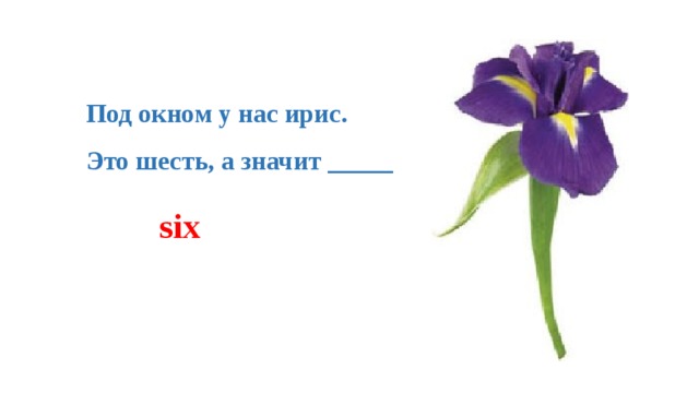 Под окном у нас ирис.   Это шесть, а значит _____ six 