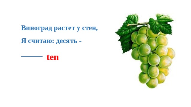 Виноград растет у стен,   Я считаю: десять - ______ ten 