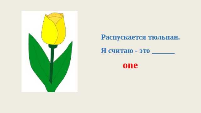 Распускается тюльпан.   Я считаю - это ______ one 