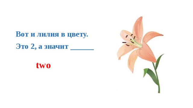 Вот и лилия в цвету.   Это 2, а значит ______ two 