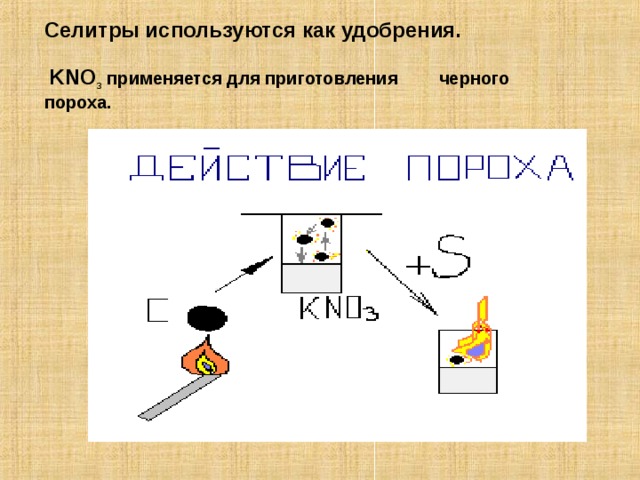 Селитры используются как удобрения.    KNO 3 применяется для приготовления черного пороха. 
