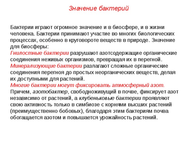 Значение бактерий Бактерии играют огромное значение и в биосфере, и в жизни человека. Бактерии принимают участие во многих биологических процессах, особенно в круговороте веществ в природе. Значение для биосферы: Гнилостные бактерии разрушают азотсодержащие органические соединения неживых организмов, превращая их в перегной. Минерализующие бактерии разлагают сложные органические соединения перегноя до простых неорганических веществ, делая их доступными для растений. Многие бактерии могут фиксировать атмосферный азот. Причем, азотобактер , свободноживущий в почве, фиксирует азот независимо от растений, а клубеньковые бактерии проявляют свою активность только в симбиозе с корнями высших растений (преимущественно бобовых), благодаря этим бактериям почва обогащается азотом и повышается урожайность растений.  