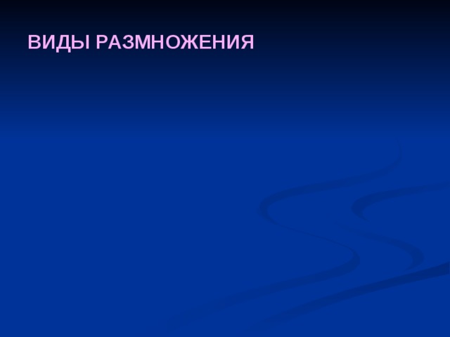 ВИДЫ РАЗМНОЖЕНИЯ 