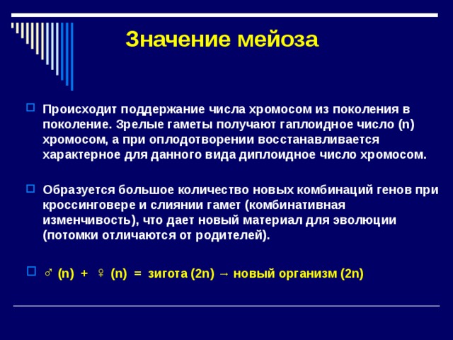  Значение мейоза Происходит поддержание числа хромосом из поколения в поколение. Зрелые гаметы получают гаплоидное число (n) хромосом, а при оплодотворении восстанавливается характерное для данного вида диплоидное число хромосом.  Образуется большое количество новых комбинаций генов при кроссинговере и слиянии гамет (комбинативная изменчивость) , что дает новый материал для эволюции (потомки отличаются от родителей).  ♂  (n) + ♀ (n) = зигота (2n) → новый организм (2n)  