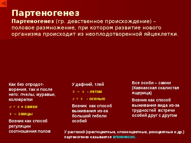  Партеногенез  Партеногенез (гр. девственное происхождение) – половое размножение, при котором развитие нового организма происходит из неоплодотворенной яйцеклетки.  Все особи – самки (Кавказская скалистая ящерица) Возник как способ выживания вида из-за трудностей встречи особей друг с другом Как без опродот-ворения, так и после него: пчелы, муравьи, коловратки У дафний, тлей ♂ + ♀ = самки ♀ → ♀  - летом ♀ →  самцы ♂ + ♀ - осенью Возник как способ регуляции соотношения полов Возник как способ выживания из-за большой гибели особей У растений (крестоцветные, сложноцветные, розоцветные и др.) партеногенез называется апомиксис. 