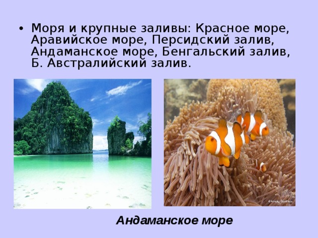 Моря и крупные заливы: Красное море, Аравийское море, Персидский залив, Андаманское море, Бенгальский залив, Б. Австралийский залив.