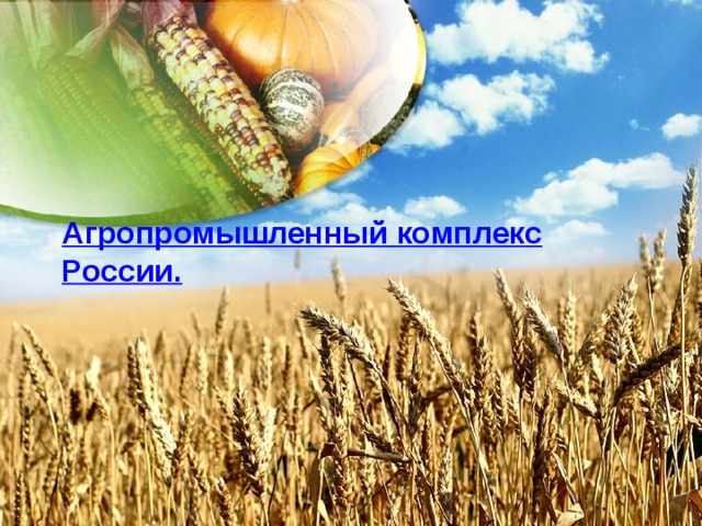 Агропромышленный комплекс России. 